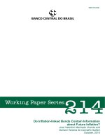 WORKING PAPER SERIES 214 - DO INFLATION-LINKED BONDS CONTAIN INFORMATION ABOUT FUTURE INFLATION? pptx