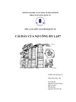TIỂU LUẬN MÔN TÀI CHÍNH QUỐC TẾ CÁI ĐÁY CỦA NỢ CÔNG HY LẠP pot