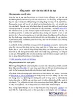 Sống xanh – nét văn hóa khi đi du học pot