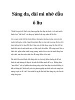 Sáng da, dài mi nhờ dầu ô liu pot