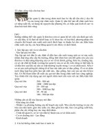 Tổ chức công việc cho trại heo