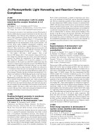 Báo cáo khoa học: J1–Photosynthetic Light Harvesting and Reaction Center Complexes ppt