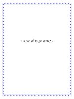 Ca dao đề tài lấy chồng pptx