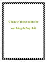 Chăm trí thông minh cho con bằng dưỡng chất docx
