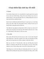 6 loại nhiên liệu sinh học tốt nhất docx