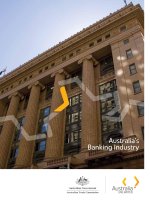 Australia’s Banking Industry docx