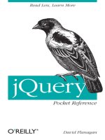 jQuery Pocket Reference pdf