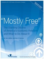“Mostly Free” The Startling Decline of America’s Economic Freedom and What to Do About It pdf