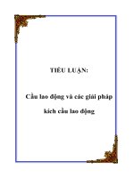 TIỂU LUẬN: Cầu lao động và các giải pháp kích cầu lao động pdf
