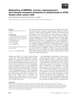 Báo cáo khoa học: Modulation of IMPDH2, survivin, topoisomerase I and vimentin increases sensitivity to methotrexate in HT29 human colon cancer cells docx