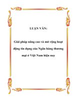 LUẬN VĂN: Giải pháp nâng cao và mở rộng hoạt động tín dụng của Ngân hàng thương mại ở Việt Nam hiện nay doc