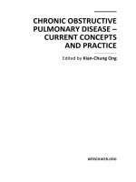 Chronic Obstructive Pulmonary Disease – Current Concepts and Practice Edited by Kian-Chung Ong pptx