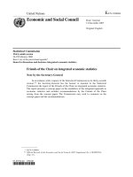 Friends of the Chair on integrated economic statistics doc