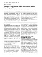 Báo cáo Y học: Regulation of stress-activated protein kinase signaling pathways by protein phosphatases pot