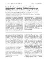 Báo cáo khoa học: Structural studies of the capsular polysaccharide and lipopolysaccharide O-antigen of Aeromonas salmonicida strain 80204-1 produced under in vitro and in vivo growth conditions docx