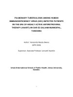 PULMONARY TUBERCULOSIS AMONG HUMAN IMMUNODEFICIENCY VIRUS (HIV) INFECTED PATIENTS IN THE ERA OF HIGHLY ACTIVE ANTIRETROVIRAL THERAPY (HAART) IN DAR ES SALAAM MUNICIPAL, TANZANIA pdf