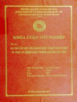 vai trò của hiệp hội ngành hàng và thực thi chính sách thương mại của việt nam