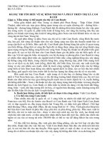 BÀI DỰ THI TÌM HIỂU VỀ SỰ HÌNH THÀNH VÀ PHÁT TRIỂN THỊ XÃ CAM RANH pptx