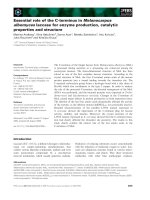 Báo cáo khoa học: Essential role of the C-terminus in Melanocarpus albomyces laccase for enzyme production, catalytic properties and structure pdf