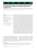 Báo cáo khoa học: Liver receptor homolog-1 localization in the nuclear body is regulated by sumoylation and cAMP signaling in rat granulosa cells docx
