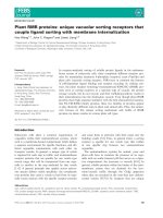 Báo cáo khoa học: Plant RMR proteins: unique vacuolar sorting receptors that couple ligand sorting with membrane internalization pdf