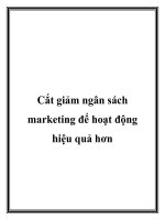 Cắt giảm ngân sách marketing để hoạt động hiệu quả hơn pptx