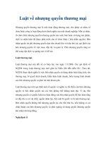 Luật về nhượng quyền thương mại pdf