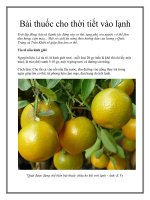 Bài thuốc cho thời tiết vào lạnh pdf