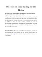 Thủ thuật mở nhiều file cùng lúc trên Firefox pot
