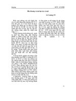 Dầu khoáng và sâu hại cây có múi docx