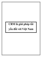 CRM là giải pháp tất yếu đối với Việt Nam pdf
