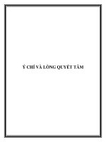 Ý CHÍ VÀ LÒNG QUYẾT TÂM pot