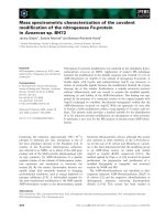 Báo cáo khoa học: Mass spectrometric characterization of the covalent modiﬁcation of the nitrogenase Fe-protein in Azoarcus sp. BH72 ppt