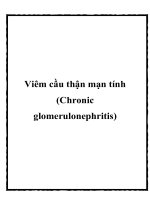 Viêm cầu thận mạn tính (Chronic glomerulonephritis) docx