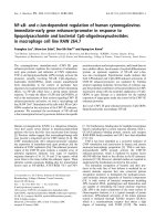 Báo cáo khóa học: NF-jB- and c-Jun-dependent regulation of human cytomegalovirus immediate-early gene ppt