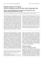 Báo cáo khoa học: Solution structure of 2¢,5¢ d(G4C4) Relevance to topological restrictions and nature’s choice of phosphodiester links docx