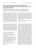 Báo cáo khoa học: Probing the interface between factor Xa and tissue factor in the quaternary complex tissue factor–factor VIIa–factor Xa–tissue factor pathway inhibitor pptx