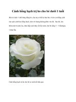 Cánh hồng bạch trị ho cho bé dưới 1 tuổi pptx