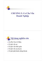 Cơ Cấu Vốn Doanh Nghiệp potx