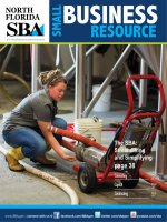 NORTH FLORIDA SBA - The SBA: Streamlining and Simplifying potx