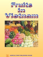 AGRICULTURE PUBLISHING HOUSE = trái cây Việt Nam docx