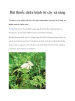 Chữa bệnh từ cây xà sàng ppt