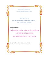 Giai phap thuc day hoan thanh lo trinh tai co cau he thong NHTM VN doc