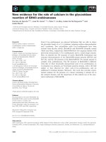 Báo cáo khoa học: New evidence for the role of calcium in the glycosidase reaction of GH43 arabinanases pot