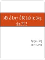 Luật lao động 2012 potx