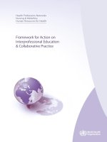 Framework for Action on Interprofessional Education & Collaborative Practice ppt