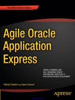 Agile Oracle Application Express ppt