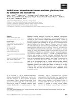Báo cáo khoa học: Inhibition of recombinant human maltase glucoamylase by salacinol and derivatives pdf