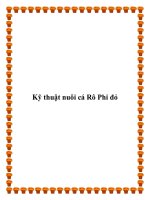 Kỹ thuật nuôi cá Rô Phi đỏ doc