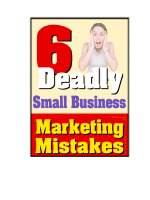 Six Deadly Small Business Marketing Mistakes by David Frey pdf